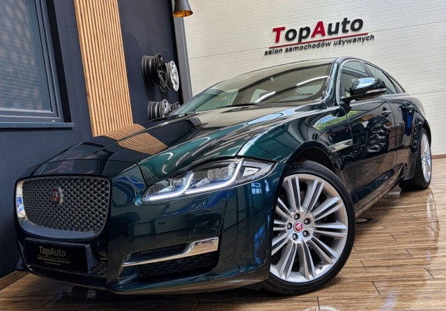 jaguar